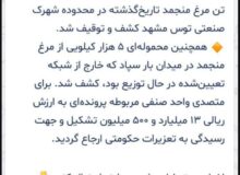 مسئولین باید فکری به حال اقتصاد کشور کنند